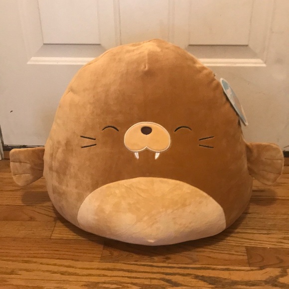 Squishmallows Other - Bruce the walrus squishmallow